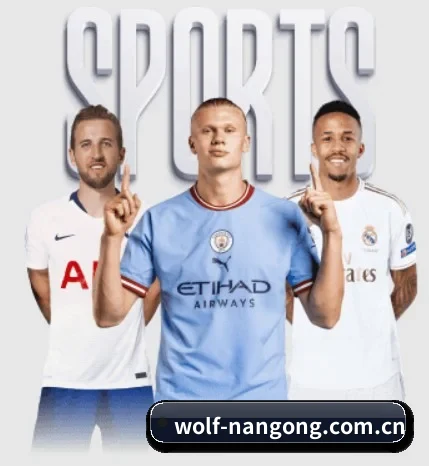 wolf-nangong.com.cn围绕看球场景设计的核心服务